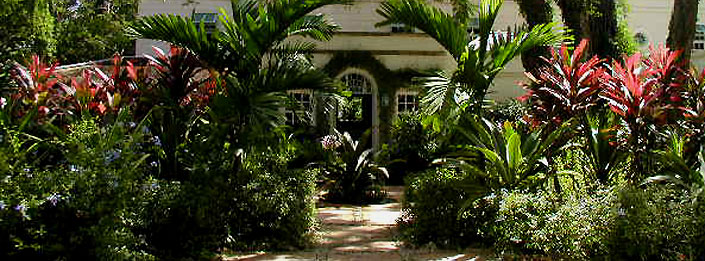 Barbados Tropical House