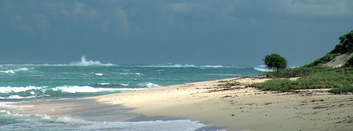 Atlantic Dune Caribbean Beach