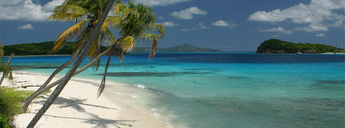 Palms, white sand atoll beach