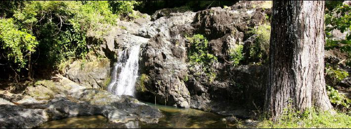 Caribbean Woodland waterfall
