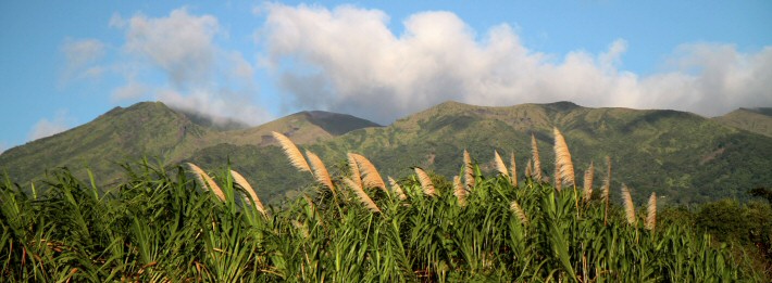 Caribbean Volcano