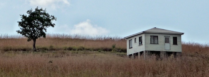 House in Caribbean Lemon Grass